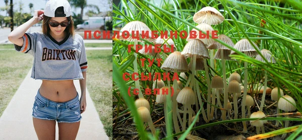 дмт Алексеевка