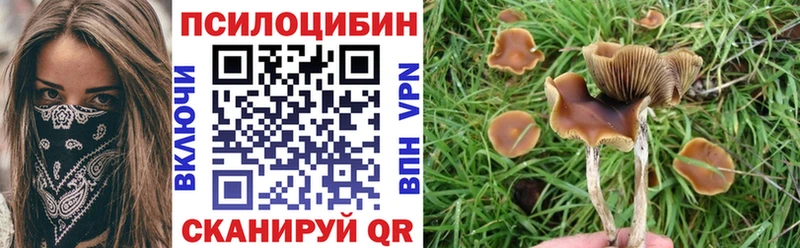 Галлюциногенные грибы Cubensis  как найти наркотики  Далматово 